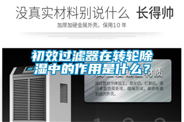 初效过滤器在转轮草莓视频黄色在线观看中的作用是什么？
