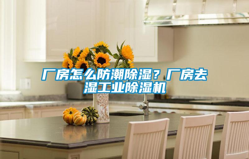 厂房怎么防潮草莓视频黄色在线观看？厂房去湿工业草莓视频黄色在线观看机