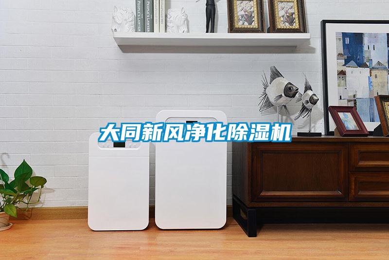 大同新风净化草莓视频黄色在线观看机