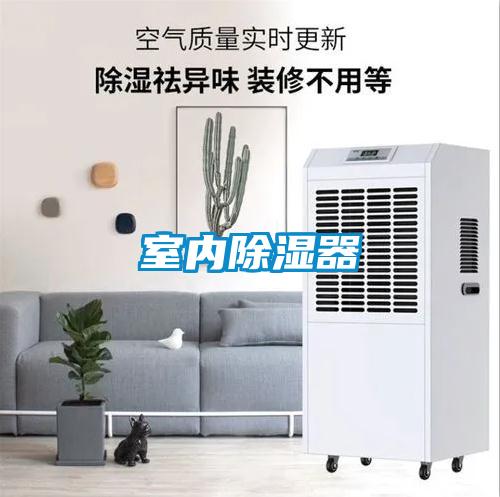 室内草莓视频黄色在线观看器