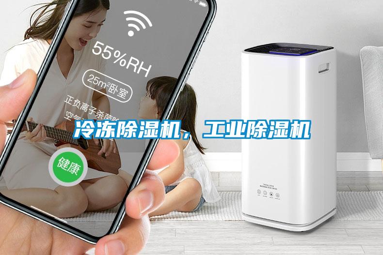 冷冻草莓视频黄色在线观看机，工业草莓视频黄色在线观看机