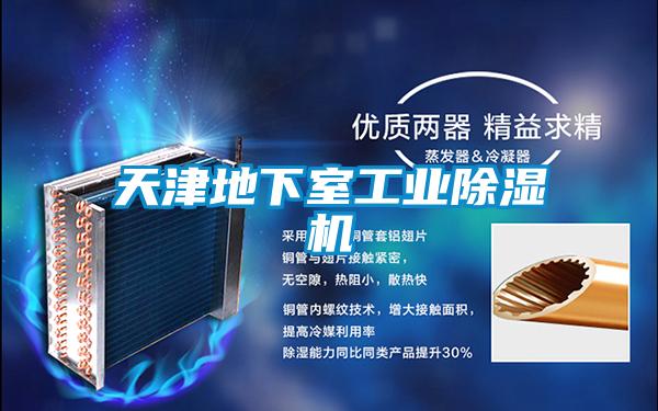 天津地下室工业草莓视频黄色在线观看机