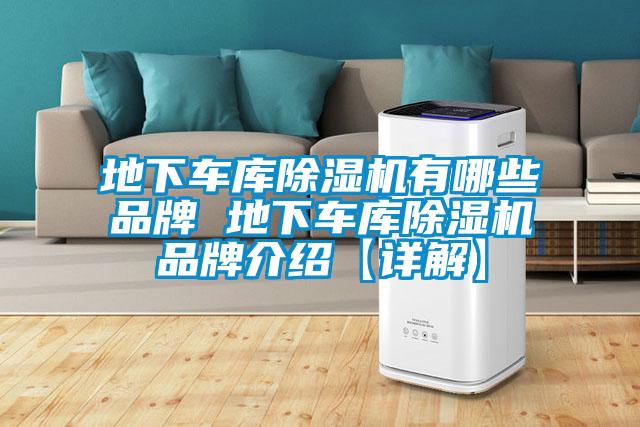地下车库草莓视频黄色在线观看机有哪些品牌 地下车库草莓视频黄色在线观看机品牌介绍【详解】