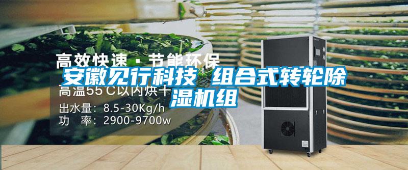 安徽见行科技 组合式转轮草莓视频黄色在线观看机组
