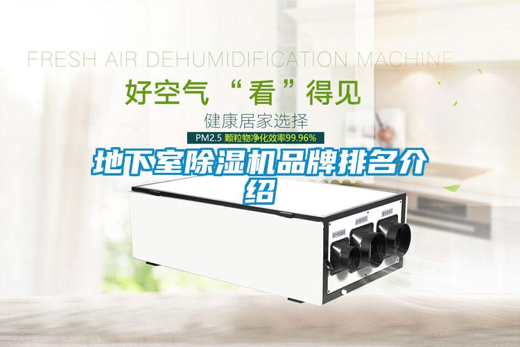 地下室草莓视频黄色在线观看机品牌排名介绍