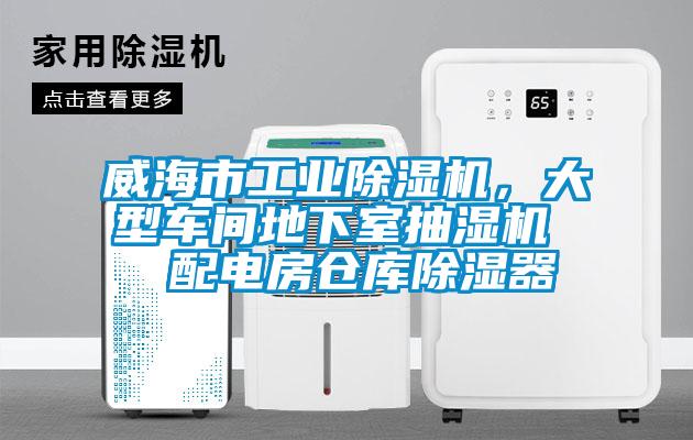 威海市工业草莓视频黄色在线观看机，大型车间地下室抽湿机  配电房仓库草莓视频黄色在线观看器