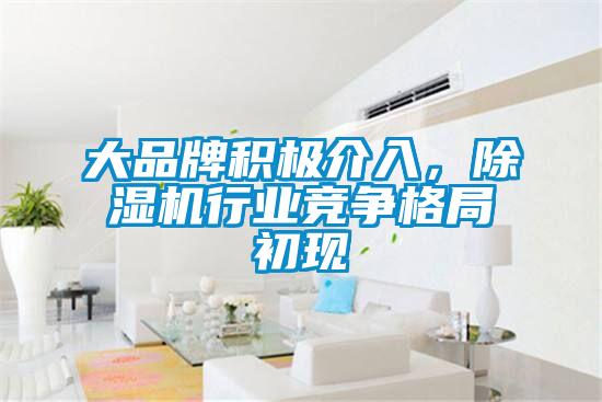 大品牌积极介入，草莓视频黄色在线观看机行业竞争格局初现