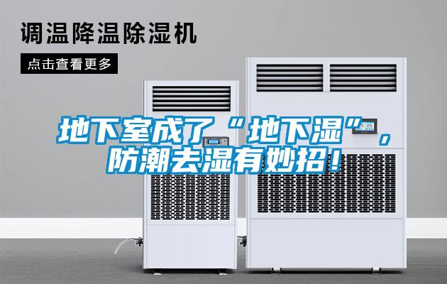地下室成了“地下湿”，防潮去湿有妙招！
