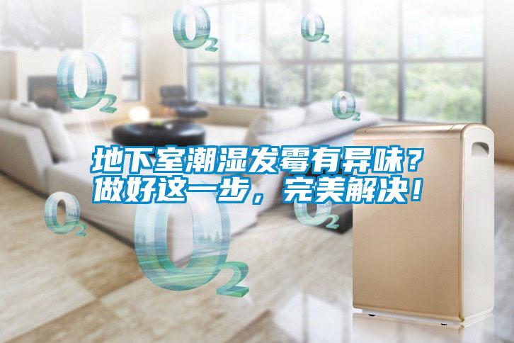 地下室潮湿发霉有异味？做好这一步，完美解决！