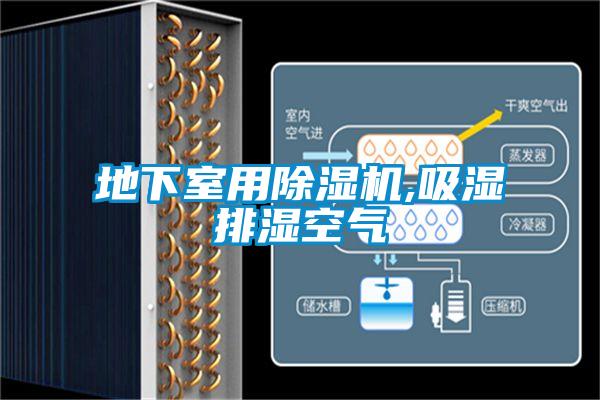 地下室用草莓视频黄色在线观看机,吸湿排湿空气
