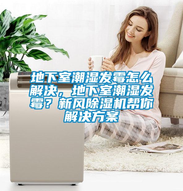 地下室潮湿发霉怎么解决，地下室潮湿发霉？新风草莓视频黄色在线观看机帮你解决草莓视频成人污版APP