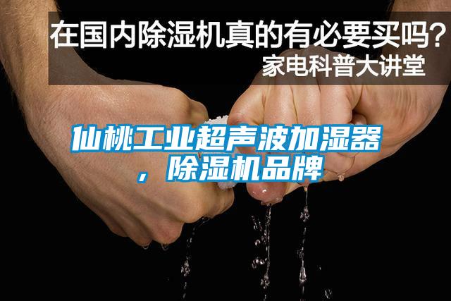 仙桃工业超声波加湿器，草莓视频黄色在线观看机品牌