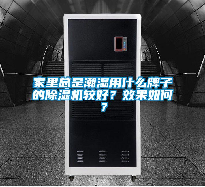 家里总是潮湿用什么牌子的草莓视频黄色在线观看机较好？效果如何？