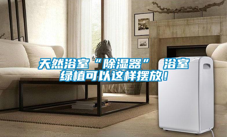 天然浴室“草莓视频黄色在线观看器” 浴室绿植可以这样摆放！