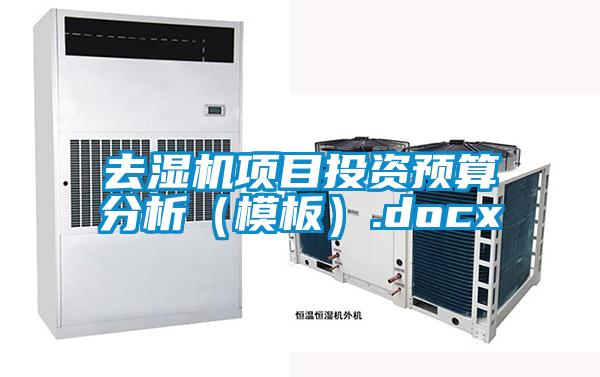 去湿机项目投资预算分析（模板）.docx
