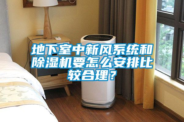 地下室中新风系统和草莓视频黄色在线观看机要怎么安排比较合理？