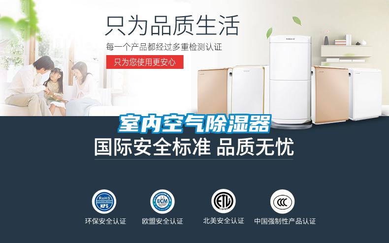 室内空气草莓视频黄色在线观看器