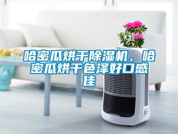 哈密瓜烘干草莓视频黄色在线观看机，哈密瓜烘干色泽好口感佳