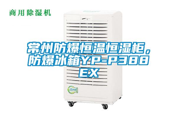 常州防爆恒温恒湿柜，防爆冰箱YP-P388EX