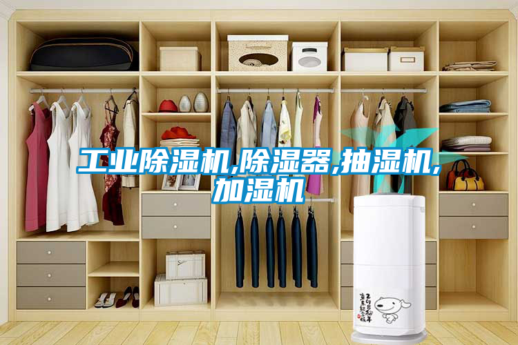 工业草莓视频黄色在线观看机,草莓视频黄色在线观看器,抽湿机,加湿机