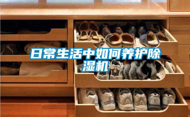 日常生活中如何养护草莓视频黄色在线观看机