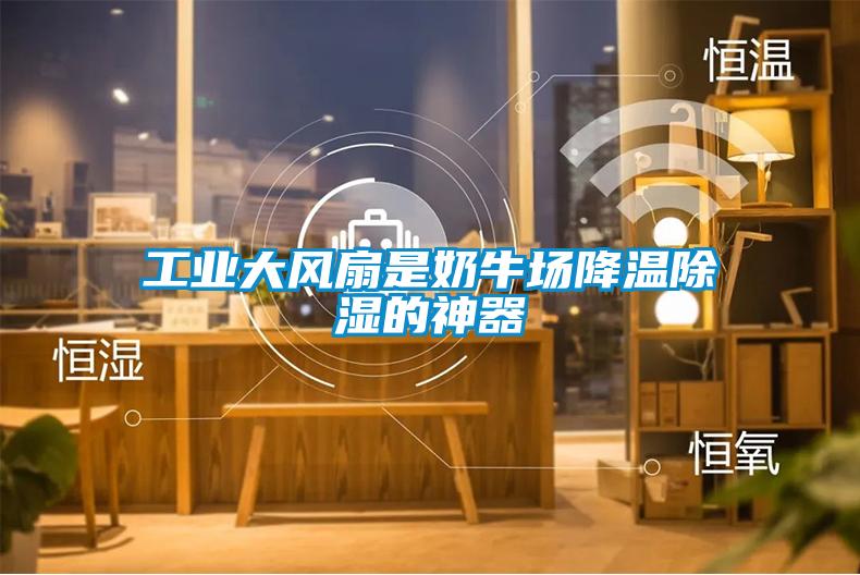 工业大风扇是奶牛场降温草莓视频黄色在线观看的神器