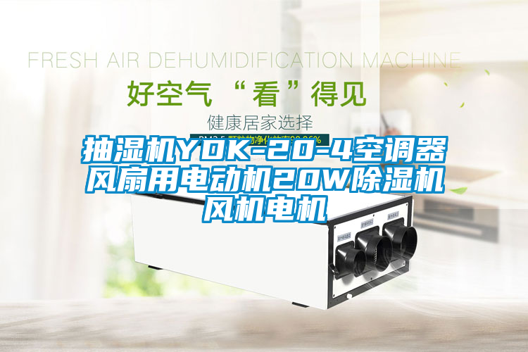 抽湿机YDK-20-4空调器风扇用电动机20W草莓视频黄色在线观看机风机电机