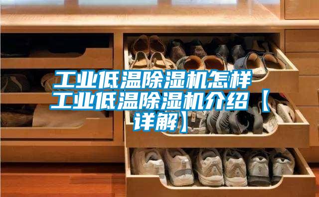 工业低温草莓视频黄色在线观看机怎样 工业低温草莓视频黄色在线观看机介绍【详解】