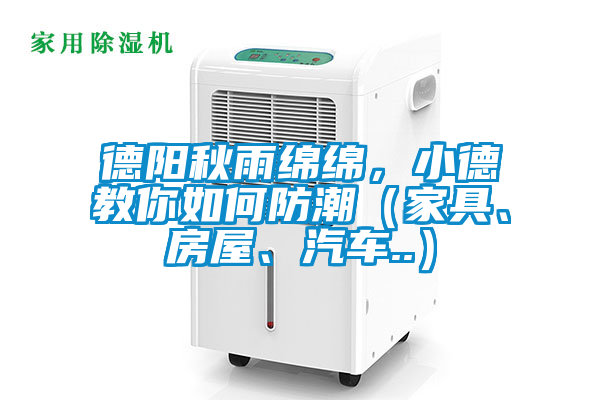 德阳秋雨绵绵，小德教你如何防潮（家具、房屋、汽车..）