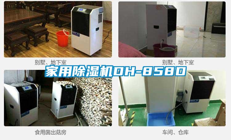 家用草莓视频黄色在线观看机DH-858D