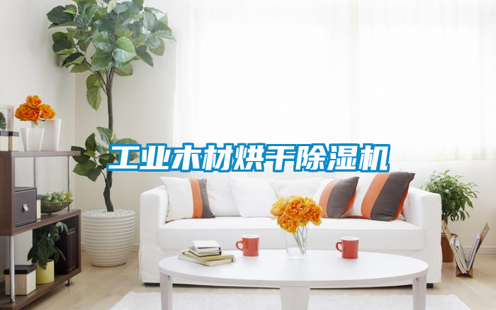 工业木材烘干草莓视频黄色在线观看机