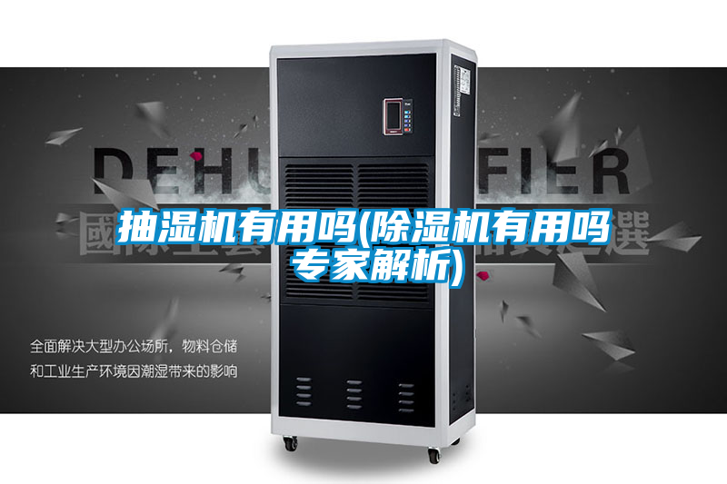 抽湿机有用吗(草莓视频黄色在线观看机有用吗 专家解析)