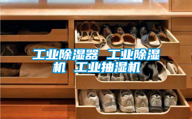 工业草莓视频黄色在线观看器 工业草莓视频黄色在线观看机 工业抽湿机