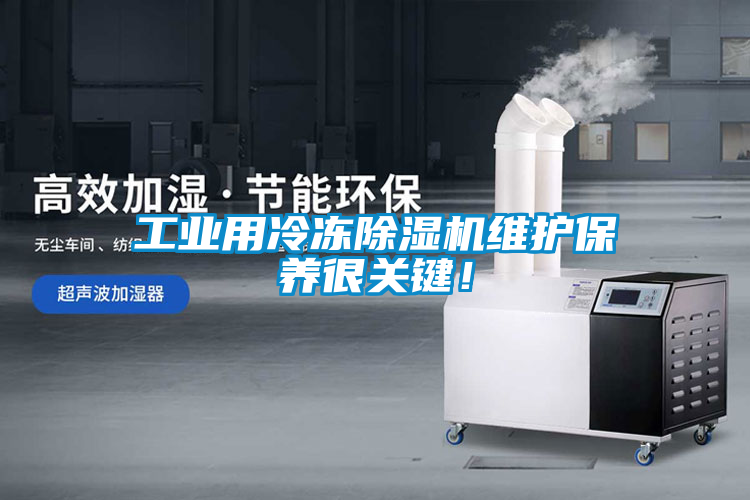 工业用冷冻草莓视频黄色在线观看机维护保养很关键！