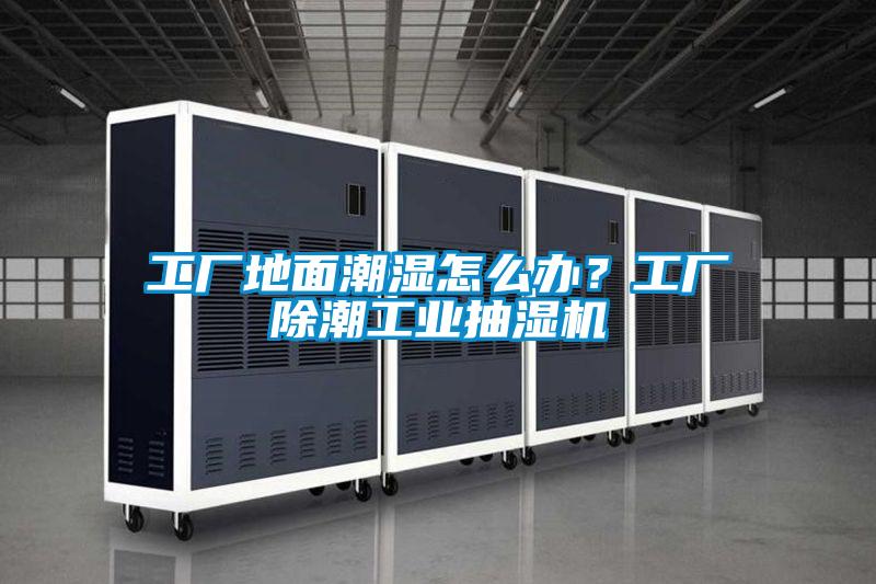工厂地面潮湿怎么办？工厂除潮工业抽湿机