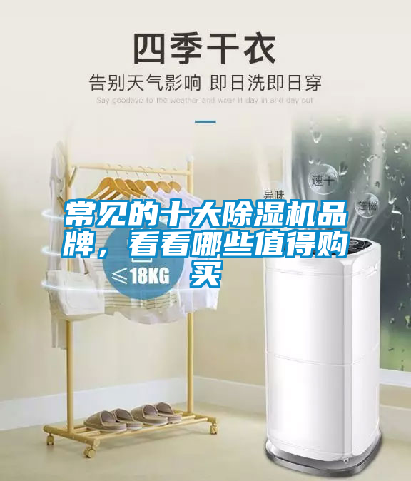 常见的十大草莓视频黄色在线观看机品牌，看看哪些值得购买