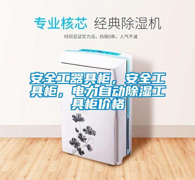 安全工器具柜，安全工具柜，电力自动草莓视频黄色在线观看工具柜价格
