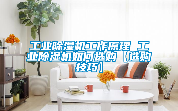 工业草莓视频黄色在线观看机工作原理 工业草莓视频黄色在线观看机如何选购【选购技巧】