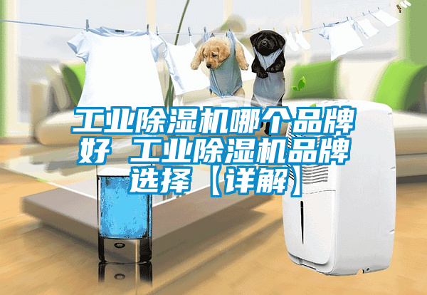 工业草莓视频黄色在线观看机哪个品牌好 工业草莓视频黄色在线观看机品牌选择【详解】