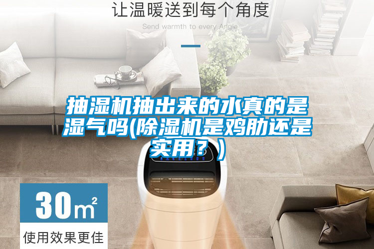 抽湿机抽出来的水真的是湿气吗(草莓视频黄色在线观看机是鸡肋还是实用？)