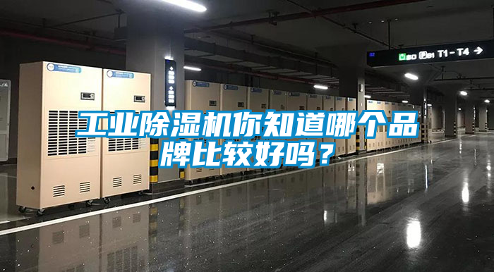 工业草莓视频黄色在线观看机你知道哪个品牌比较好吗？