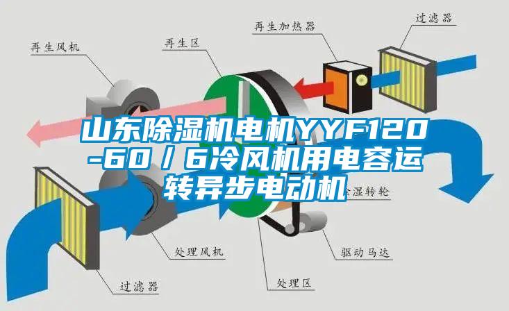 山东草莓视频黄色在线观看机电机YYF120-60／6冷风机用电容运转异步电动机