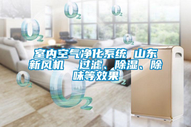 室内空气净化系统 山东新风机  过滤、草莓视频黄色在线观看、除味等效果