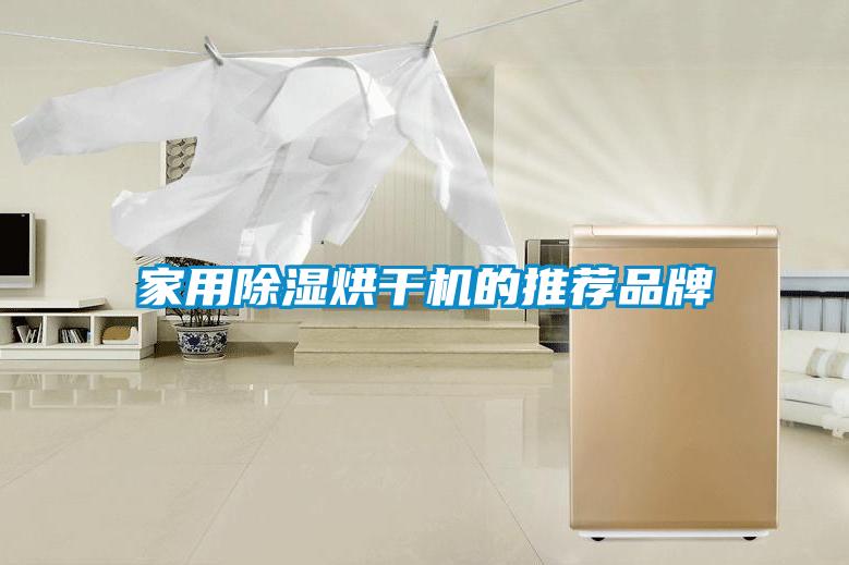 家用草莓视频黄色在线观看烘干机的推荐品牌