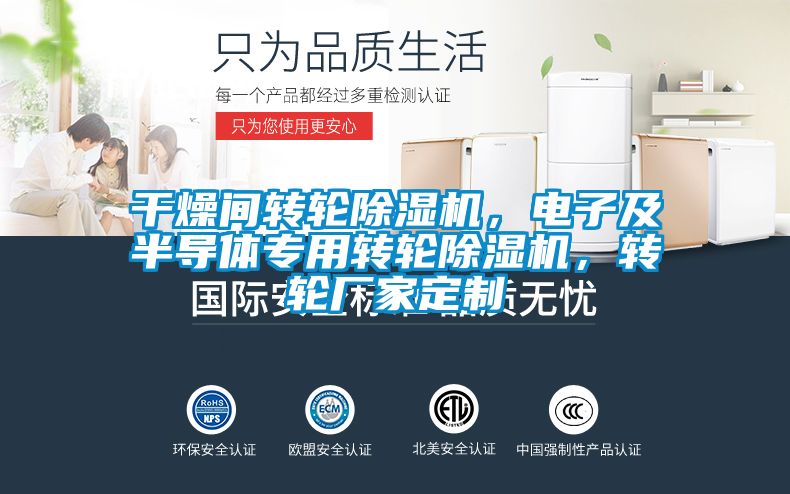 干燥间转轮草莓视频黄色在线观看机，电子及半导体专用转轮草莓视频黄色在线观看机，转轮厂家定制