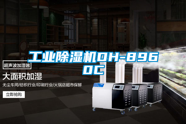 工业草莓视频黄色在线观看机DH-8960C
