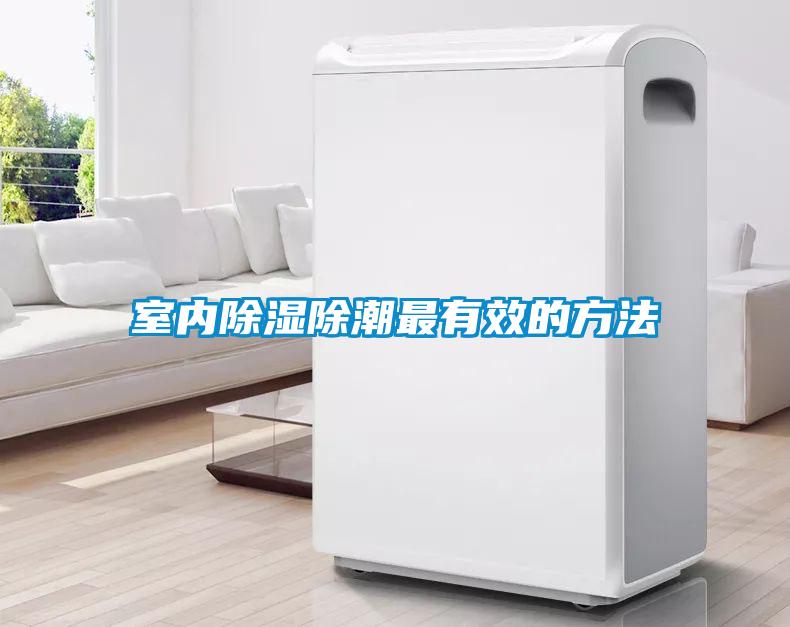 室内草莓视频黄色在线观看除潮最有效的方法