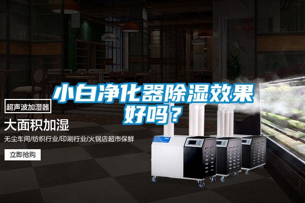 小白净化器草莓视频黄色在线观看效果好吗？
