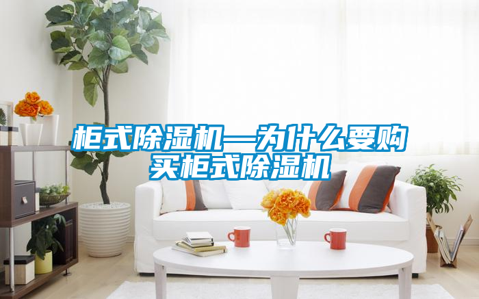 柜式草莓视频黄色在线观看机—为什么要购买柜式草莓视频黄色在线观看机