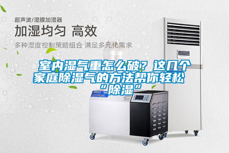 室内湿气重怎么破？这几个家庭草莓视频黄色在线观看气的方法帮你轻松“草莓视频黄色在线观看”